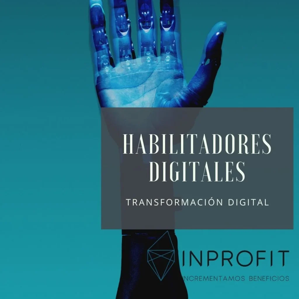 Asesores digitales homologados