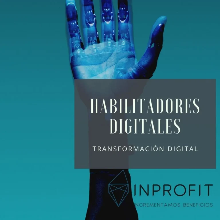 Asesores digitales homologados