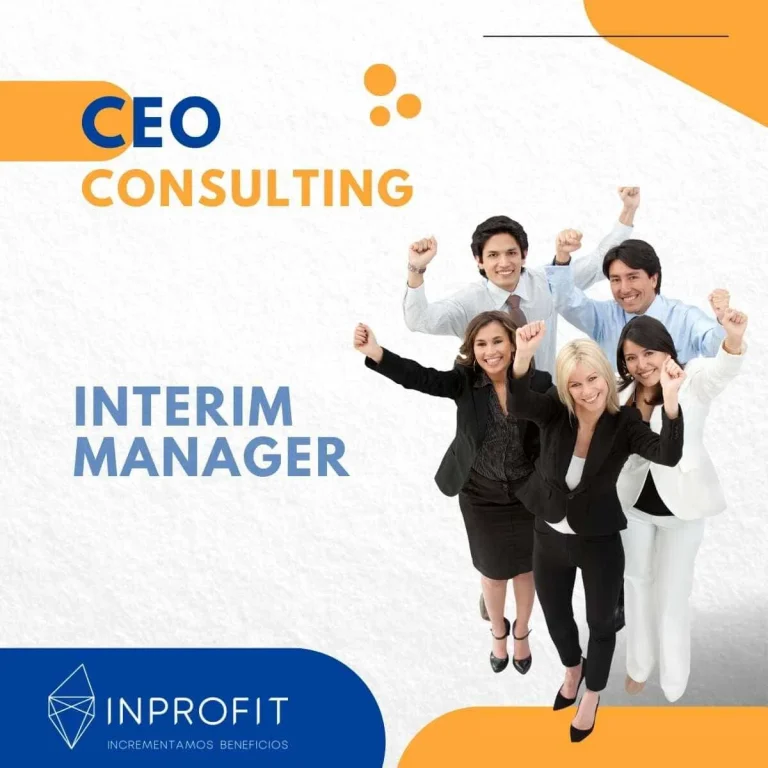 Consultoria CEO