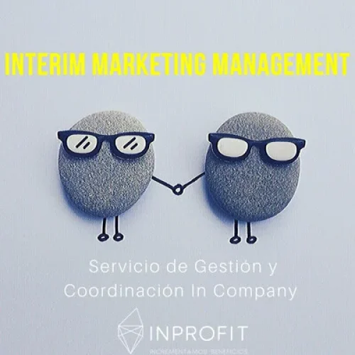 Interim management
