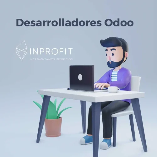 ERP Odoo a medida