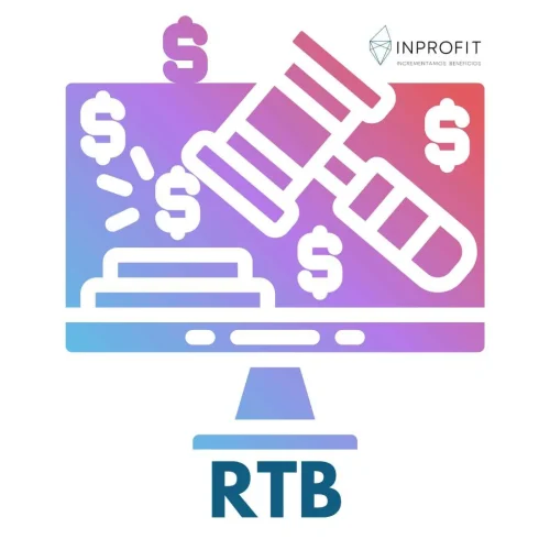 Tipos de campaña RTB